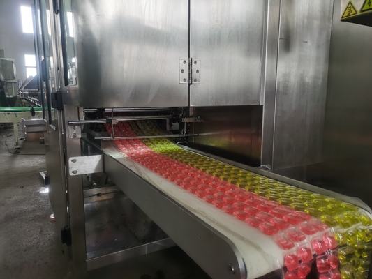 Máquina de fabricación de vainas de lavado eléctricas controladas por PLC para producción personalizada